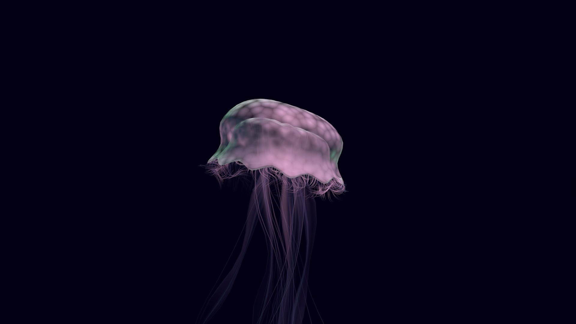 2018_SpaceJellyfish_Cover